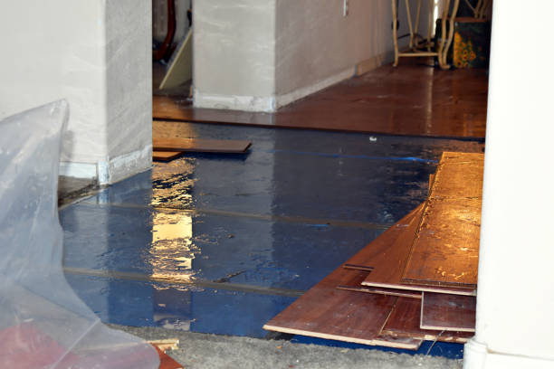 Professional Basement Flood Cleanup technician working in Collins, OH